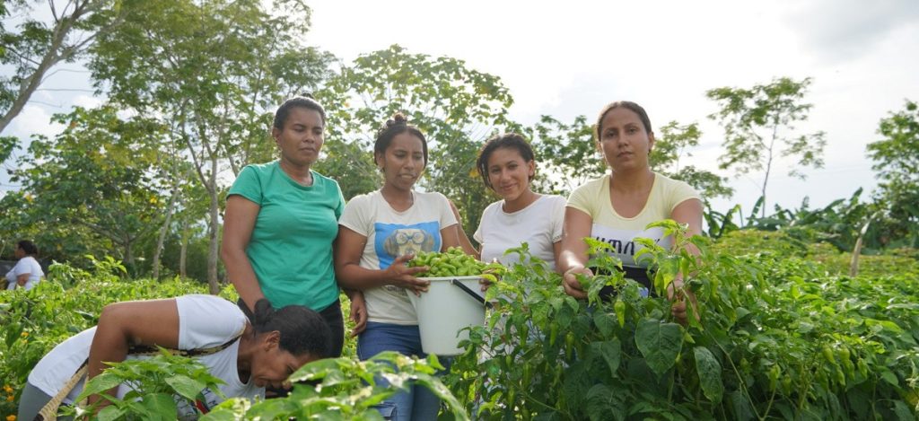 Campesinos de La Mojana.