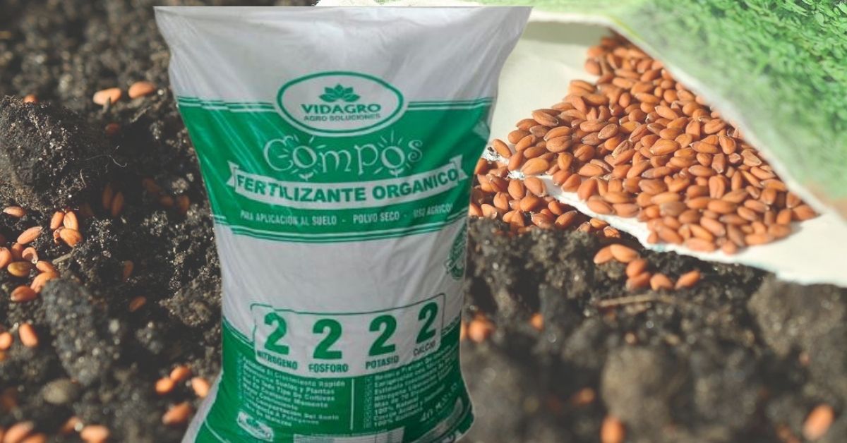 Diseño sin título (1) Diseño sin título (1)