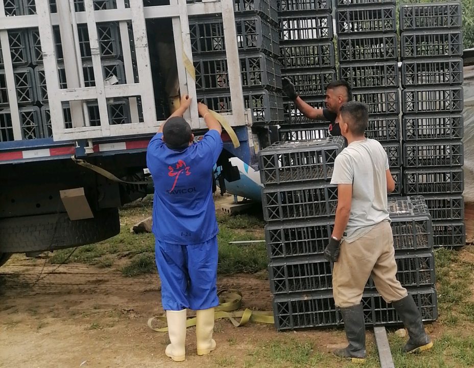 cRhpw3ktyTiGicG65Dho4p.Foto Equipo que realizó el cargue.153126 (1) cRhpw3ktyTiGicG65Dho4p.Foto Equipo que realizó el cargue.153126 (1)