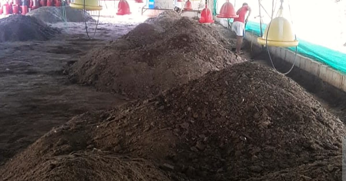 pollinaza2 pollinaza2